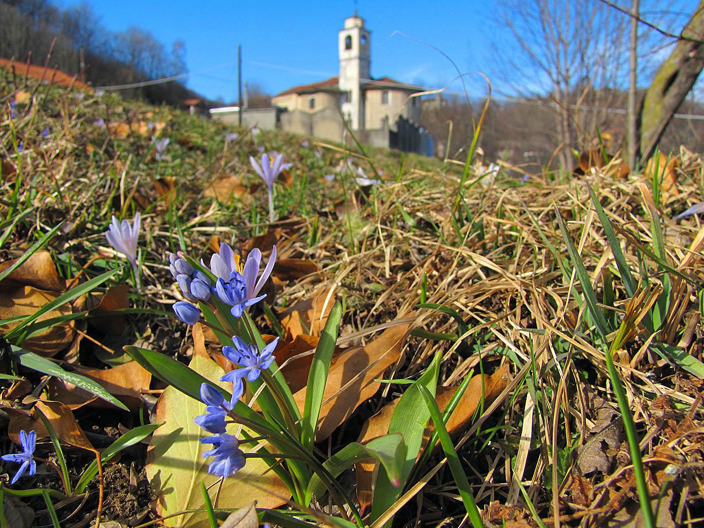 Fiori ambientati